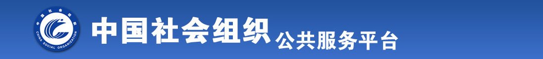 17c一起草官网网页版在线看网页版网页官方网页网页版网页全国社会组织信息查询